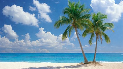 Two Palm Trees on Tropical Beach