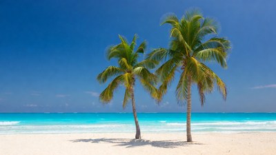 Two Palm Trees on Tropical Beach