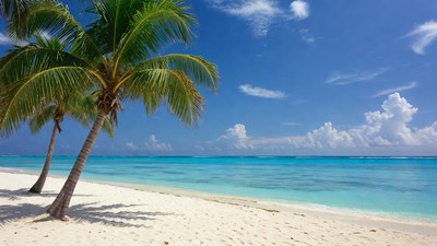 Palm Trees on Tropical Beach