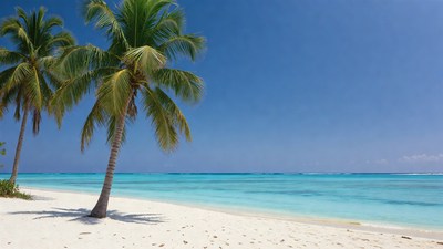 Palm Trees on Tropical Beach