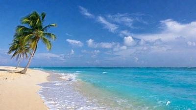 Palm Trees on Tropical Beach