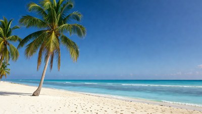 Palm Trees on Tropical Beach