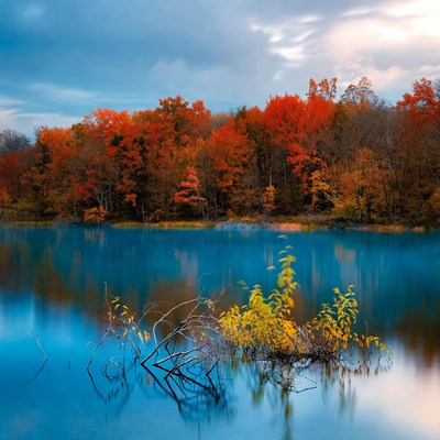 Autumn Trees Reflecting in Blue Lake