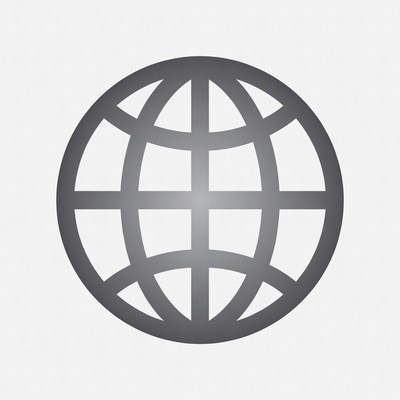 Gray Globe Icon
