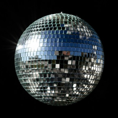 Shiny Disco Ball