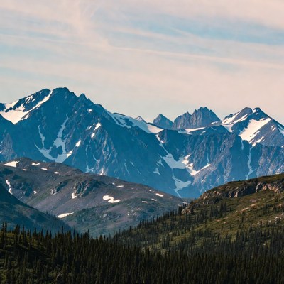 Snowy Mountains with Forest Foreground