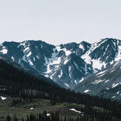 Snowy Mountain Range with Pine Trees