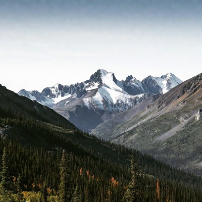 Snowy Mountains with Forest Valley