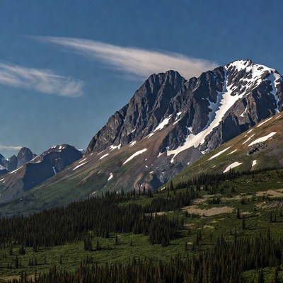 Snowy Mountain Peaks with Forests