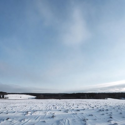 Snowy Field Under Blue Sky