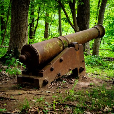 Rusty Cannon in Lush Forest