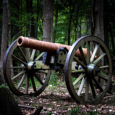 Civil War Cannon in Forest