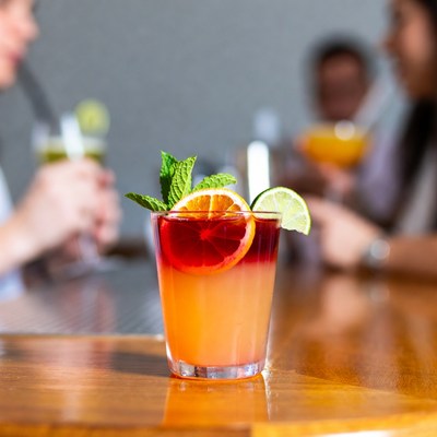 Blood Orange Margarita with Mint Garnish