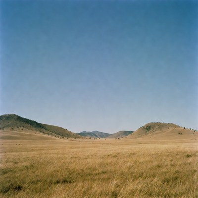 Golden Grass Between Distant Hills