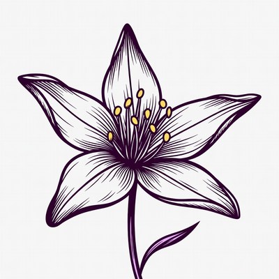 Purple Lily Flower Illustration