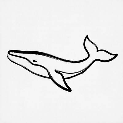 Blue Whale Line Art Illustration