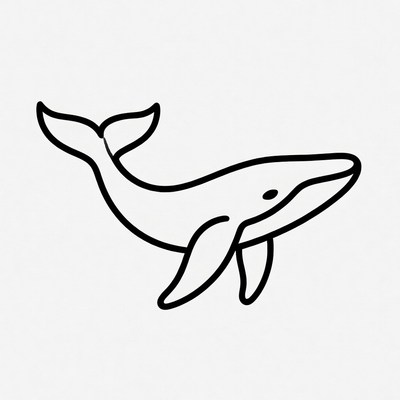 Line Art Whale Illustration