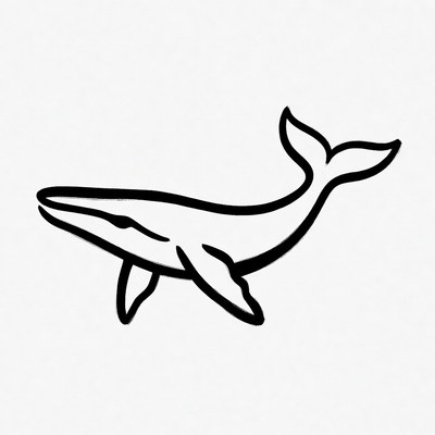 Blue Whale Outline Illustration
