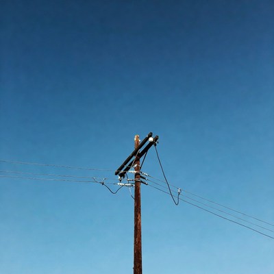 Owl Perched on Utility Pole