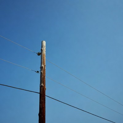 Wooden utility pole with wires