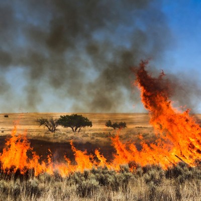 Grassland wildfire burning dry field