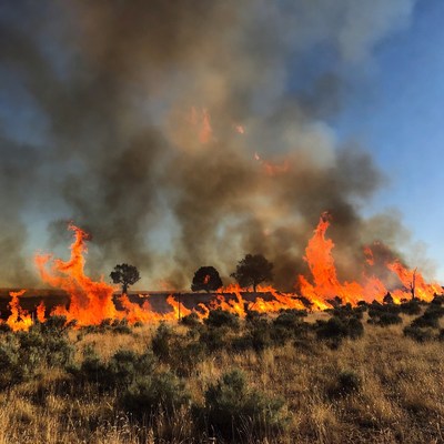 Wildfire Burning Grassland Landscape