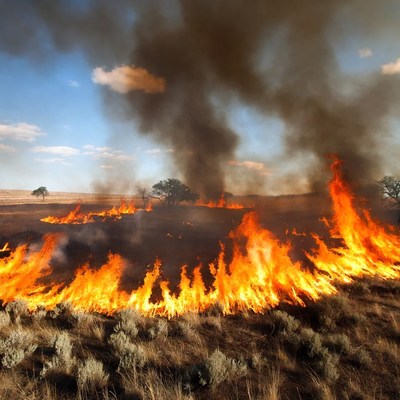 Grassland wildfire burning under blue sky