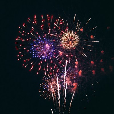 Colorful Fireworks Exploding in Night Sky