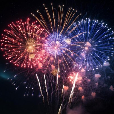 Colorful Fireworks Exploding in Night Sky