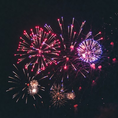 Colorful Fireworks Exploding in Night Sky