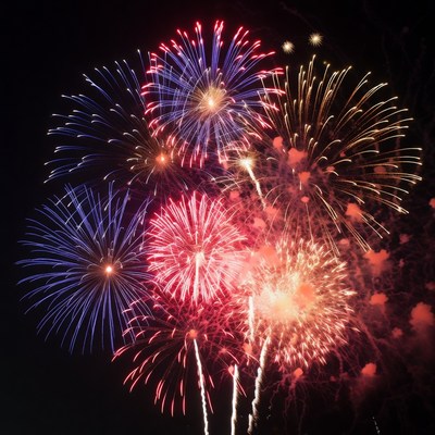 Colorful Fireworks Exploding in Night Sky