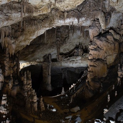 Stalactite-filled cave interior