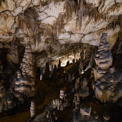 Stalactites in Illuminated Cave