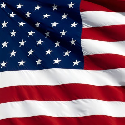 Waving American Flag