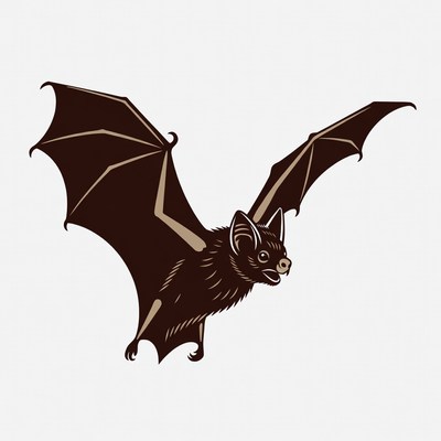 Flying Bat Illustration