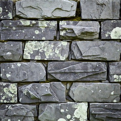Mossy Stone Wall Texture