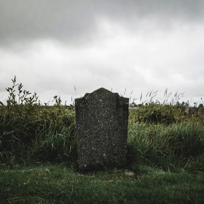 Gravestone in grassy field