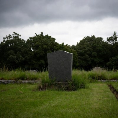 Gravestone in grassy cemetery under cloudy sky