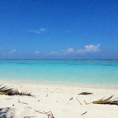 Tropical beach with turquoise ocean