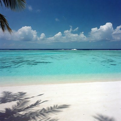 Tropical beach with turquoise lagoon
