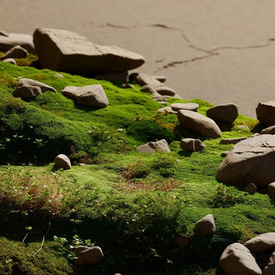 Mossy rocks on cracked ground