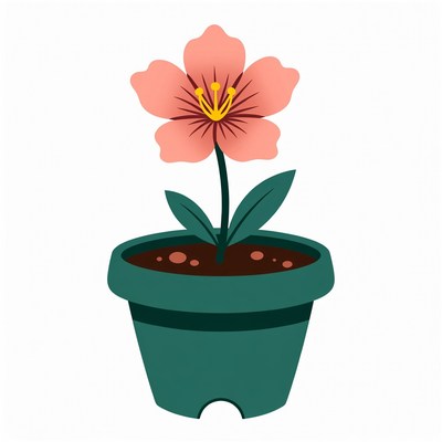 Pink flower in green pot