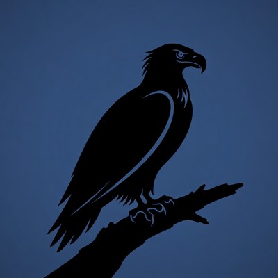 Silhouette Eagle Perched on Branch