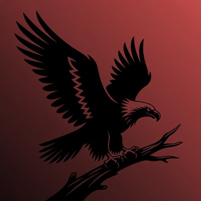 Black Silhouette Eagle on Branch