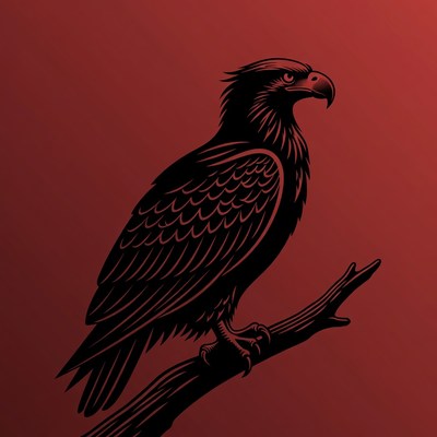 Eagle perched on branch silhouette