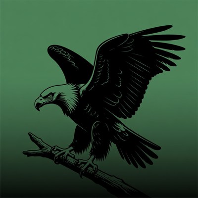 Bald Eagle Perched on Branch