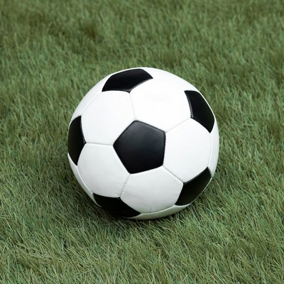 Soccer Ball on Grass