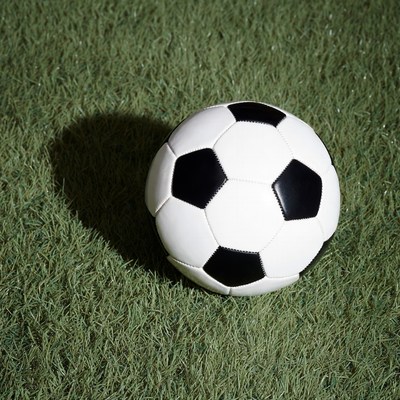 Soccer Ball on Green Grass
