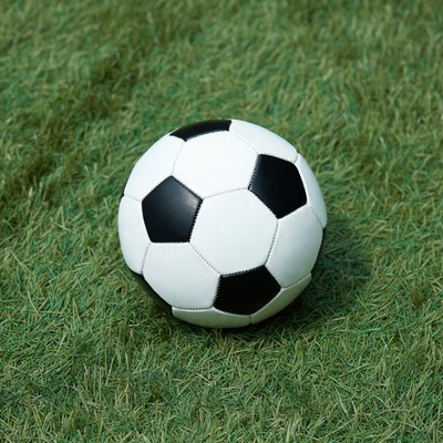 Soccer Ball on Grass