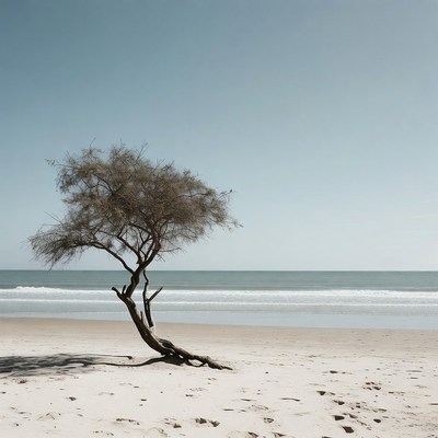 Lonely tree on beach by ocean